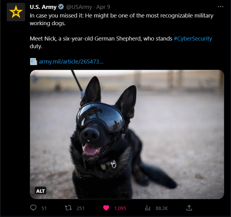 army cyber security dog